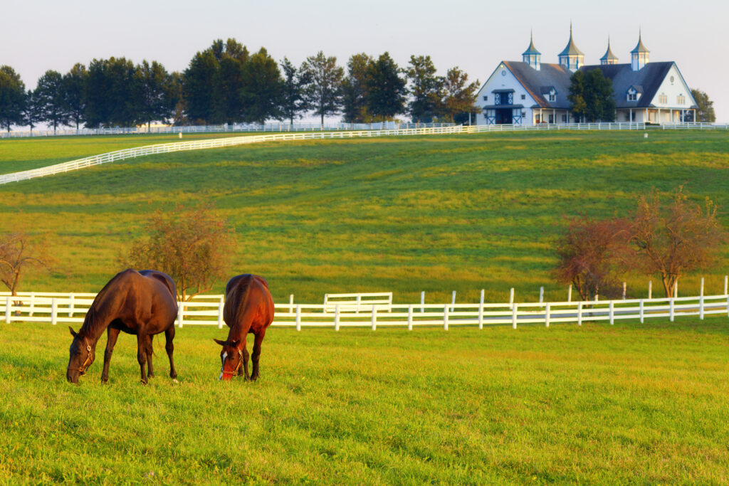 Horses on a Connecticut farm property