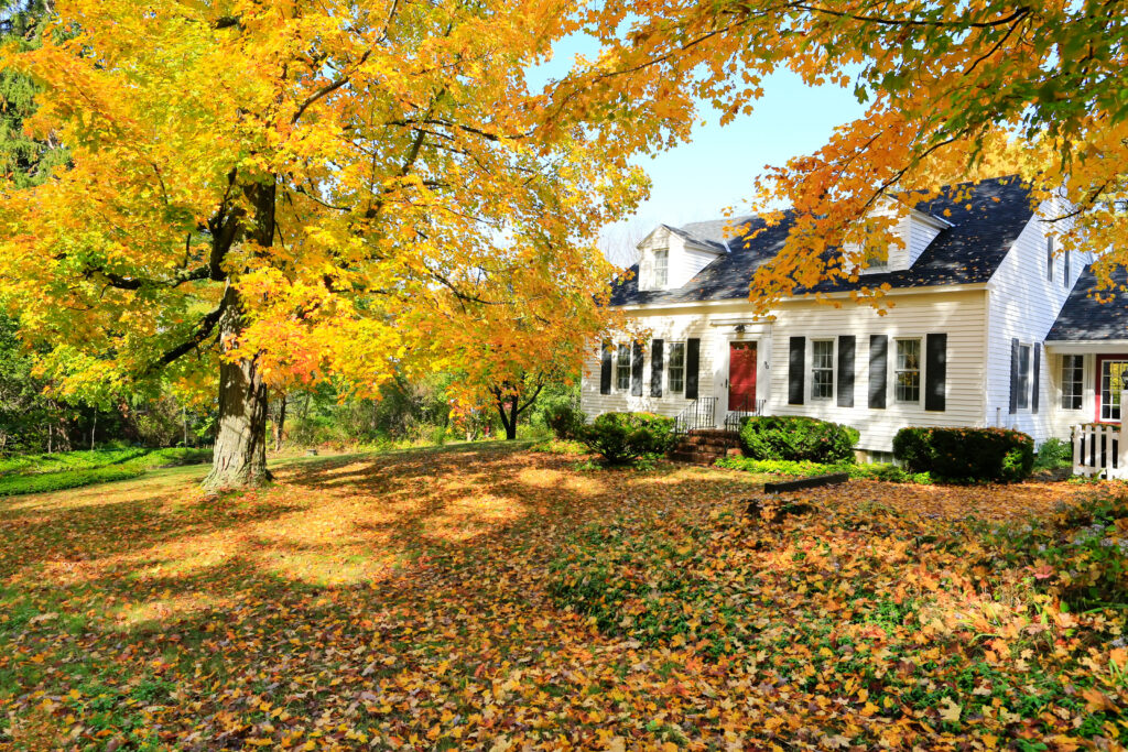 As the crisp New England air sets in and the leaves begin to fall, it’s the perfect time for homeowners to prepare their houses for the colder months ahead. Taking care of fall maintenance now can help prevent costly repairs, improve energy efficiency, and keep your home safe and comfortable all winter long. Here are the top five fall home maintenance tips to focus on in Connecticut: